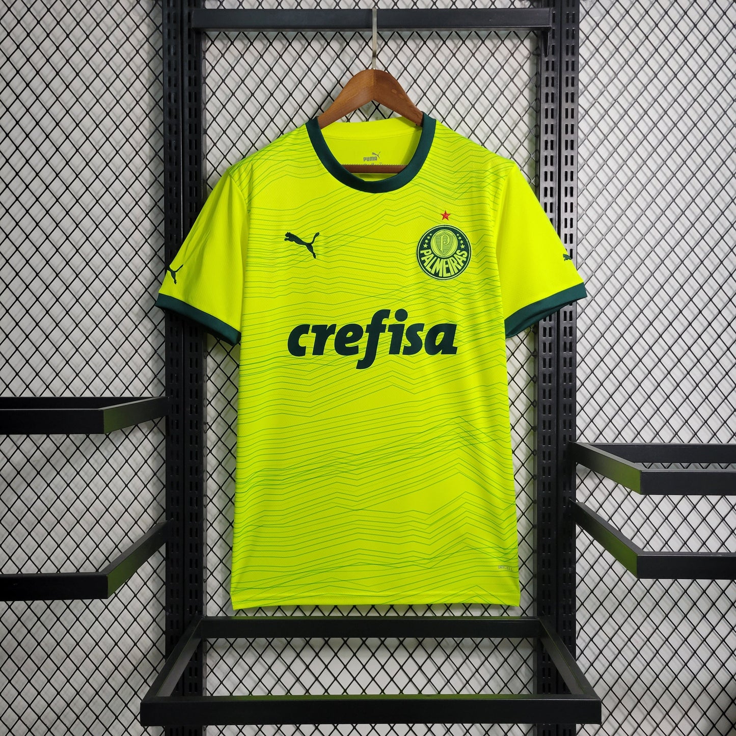 Camisa Palmeiras 23/24 - Versão Torcedor