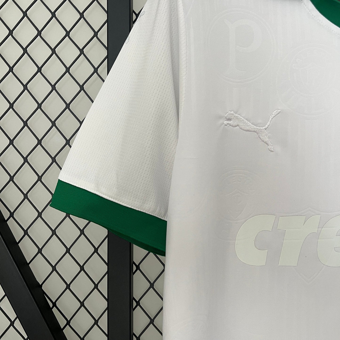 Camisa Palmeiras Edição Especial  24/25 - Versão Torcedor