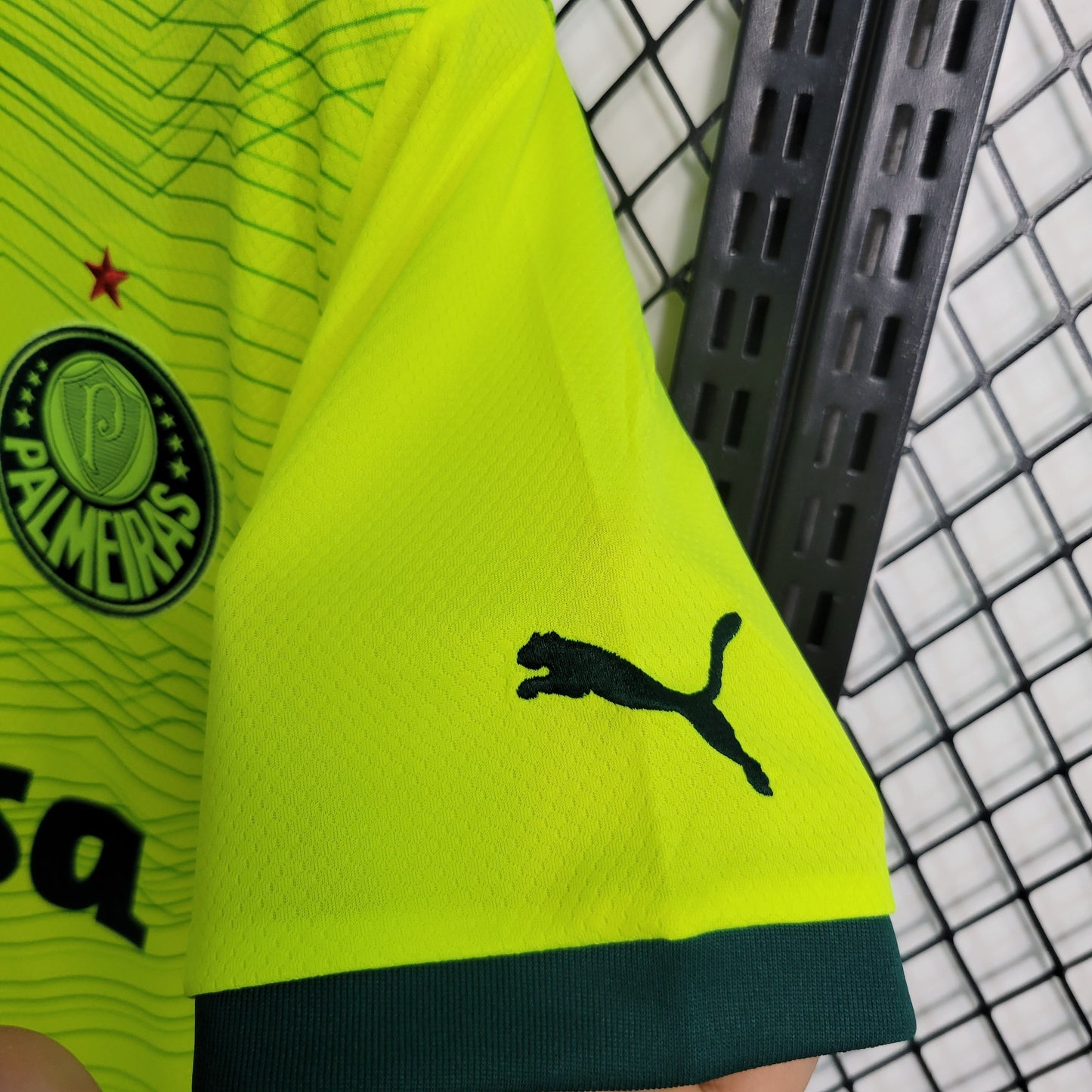Camisa Palmeiras 23/24 - Versão Torcedor