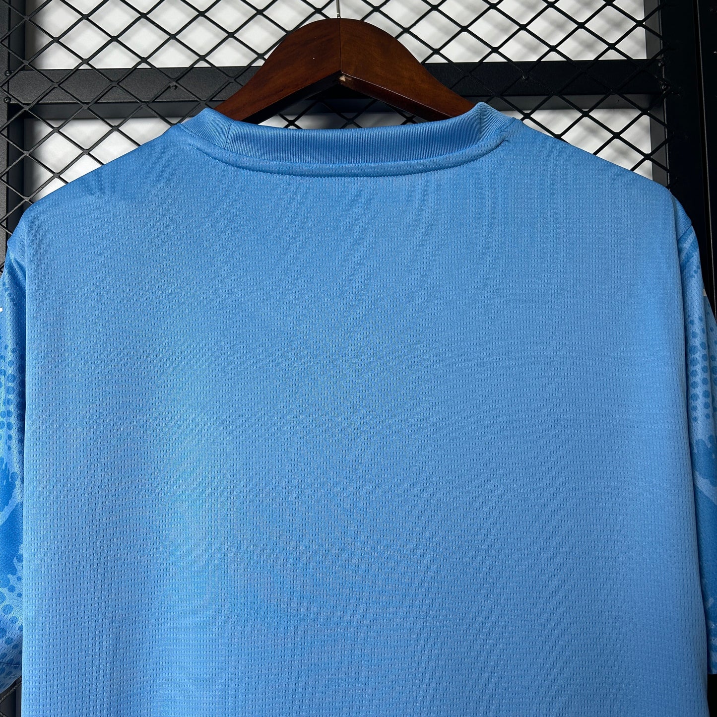 Camisa Palmeiras Goleiro 25/26 - Versão Torcedor