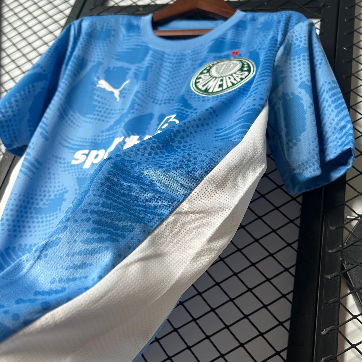 Camisa Palmeiras Goleiro 25/26 - Versão Torcedor