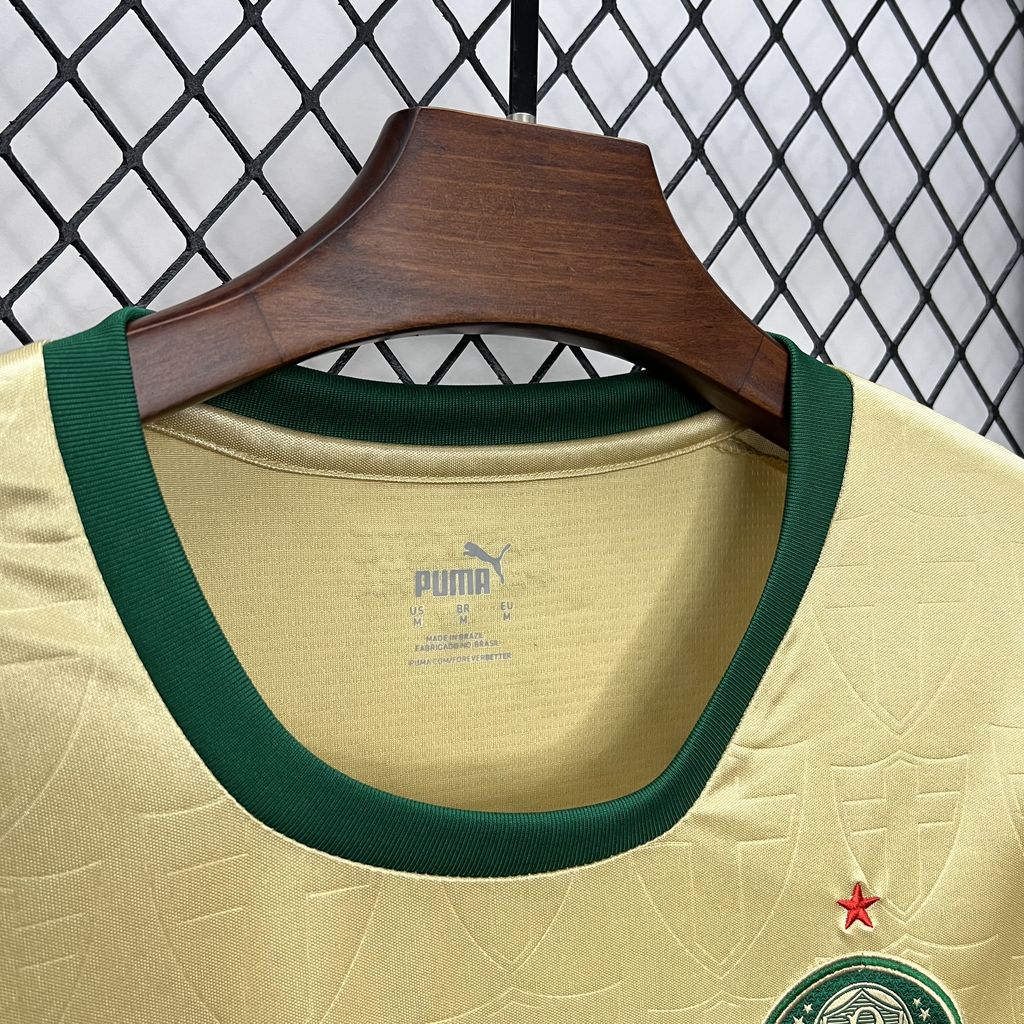 Camisa Palmeiras Reserva 3 24/25 - Versão Feminina