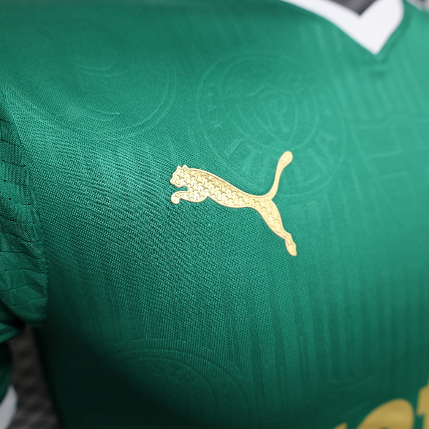 Camisa Palmeiras Titular 24/25 - Versão Jogador