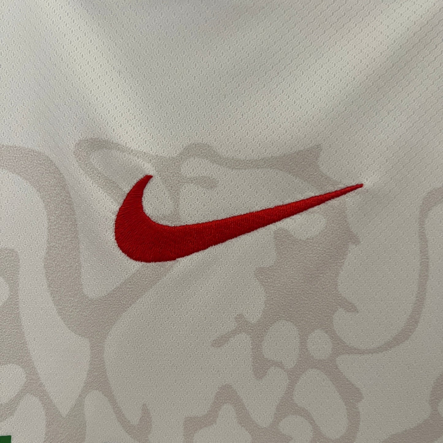 Camisa Nigéria Titular 23/24 - Versão Torcedor