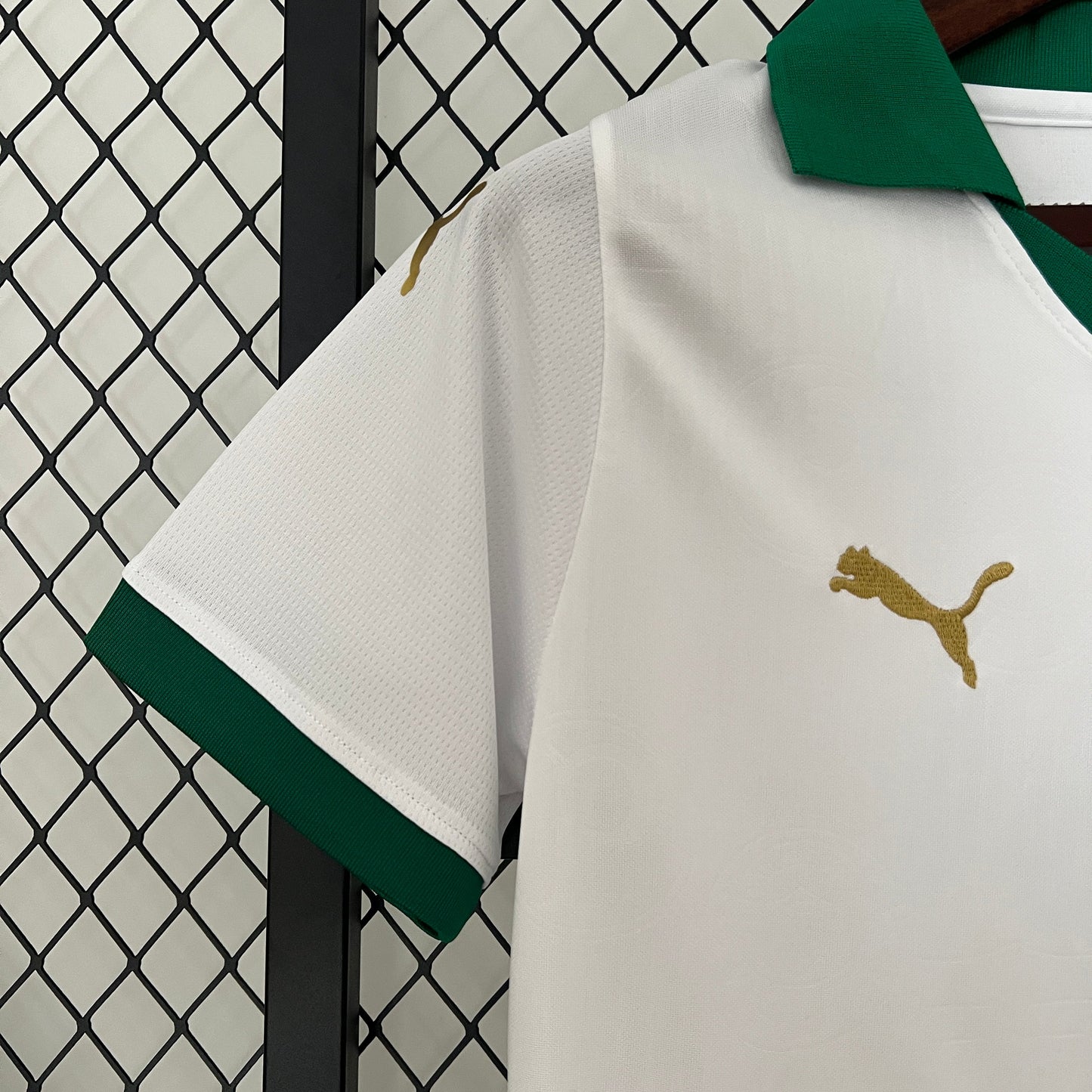 Camisa Palmeiras Reserva 24/25 - Versão Feminina